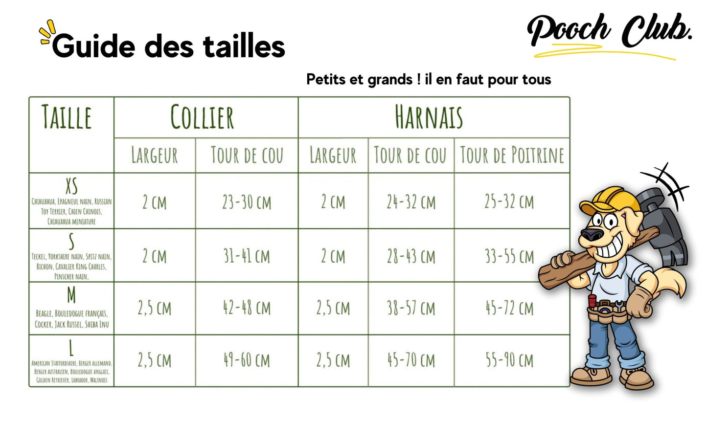 Le Côtelé Canelle 🟤 Harnais