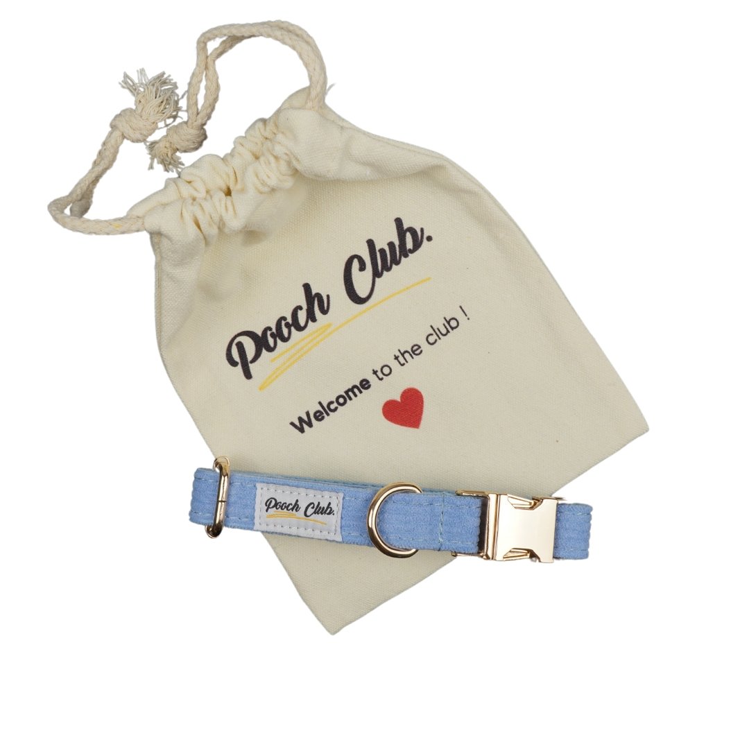 Le Côtelé Lavande 🌸 Petit toutou 💛 XS#- Pooch Club