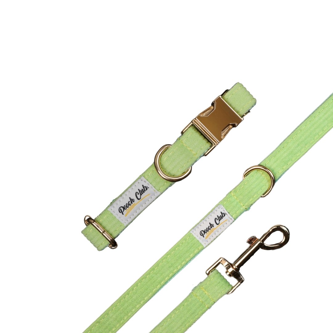 Le Côtelé Pomme verte 🍏 Petit toutou 💛 XS#- Pooch Club