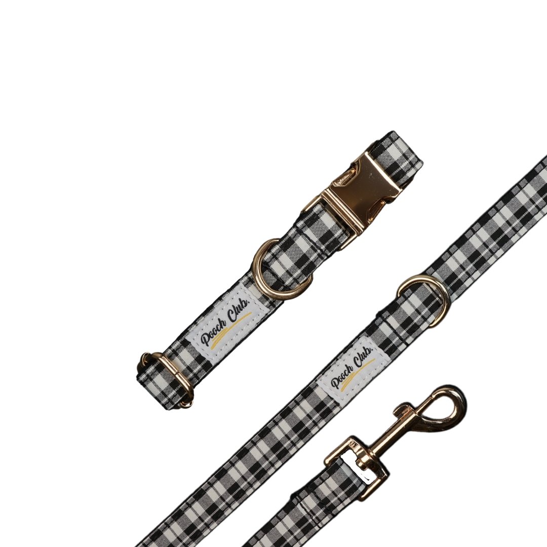 Le Tartan James Hogg 🔲 Petit toutou 💛 XS#- Pooch Club