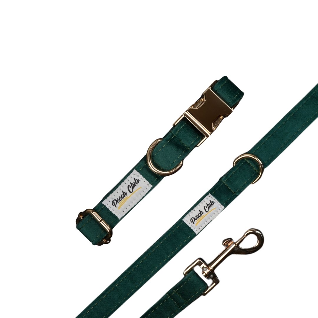 Le Velours Anglais 🌲 Petit toutou 💛 XS#- Pooch Club