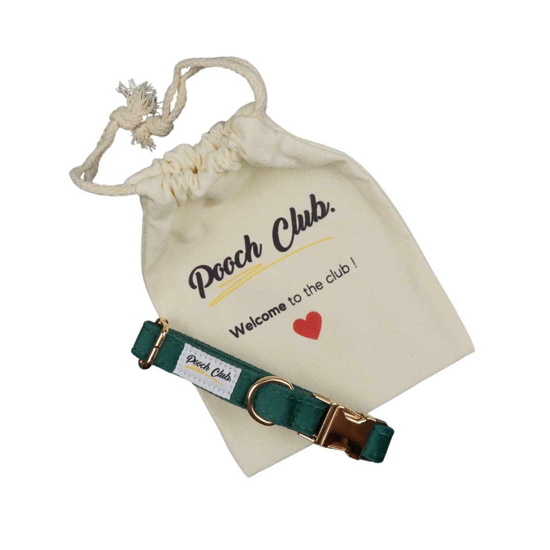 Le Velours Anglais 🌲 Petit toutou 💛 XS#- Pooch Club