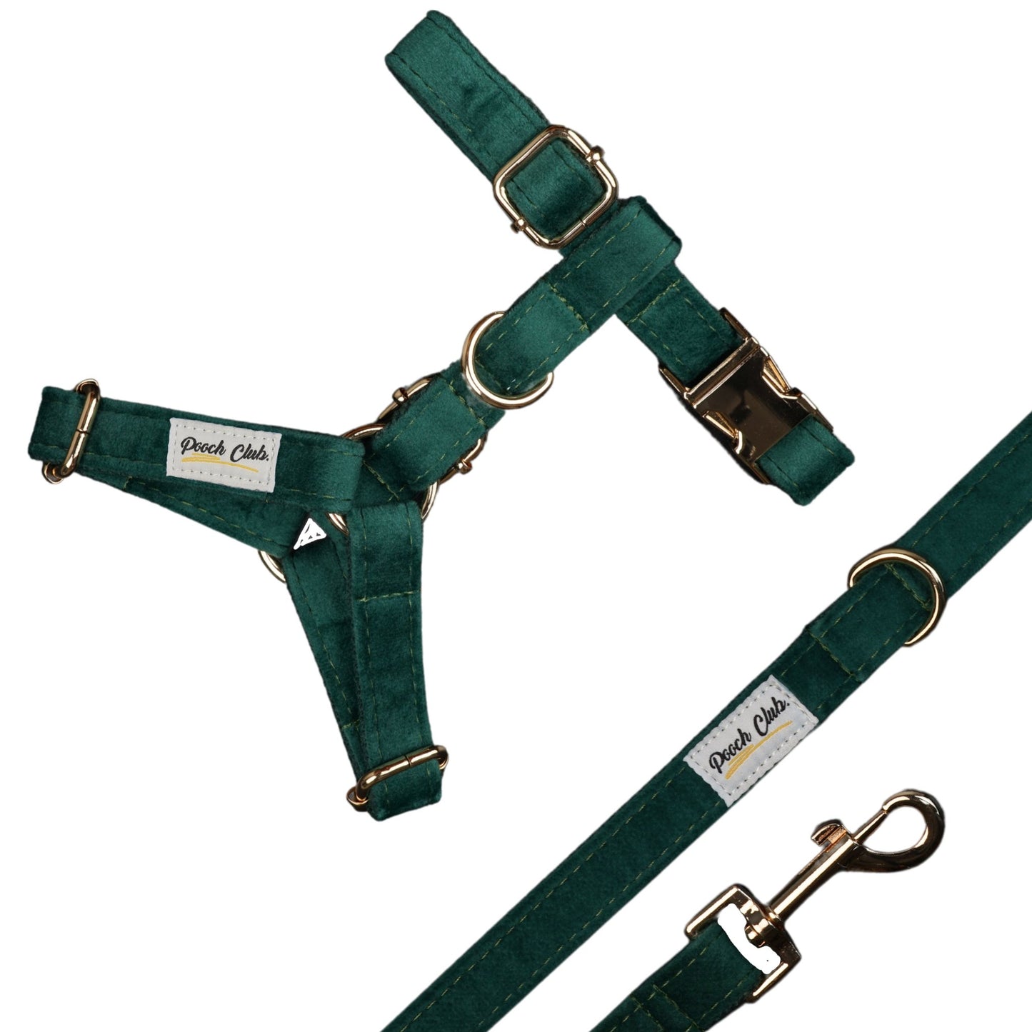 Le Velours Anglais 🌲 Petit toutou 💛 XS#- Pooch Club