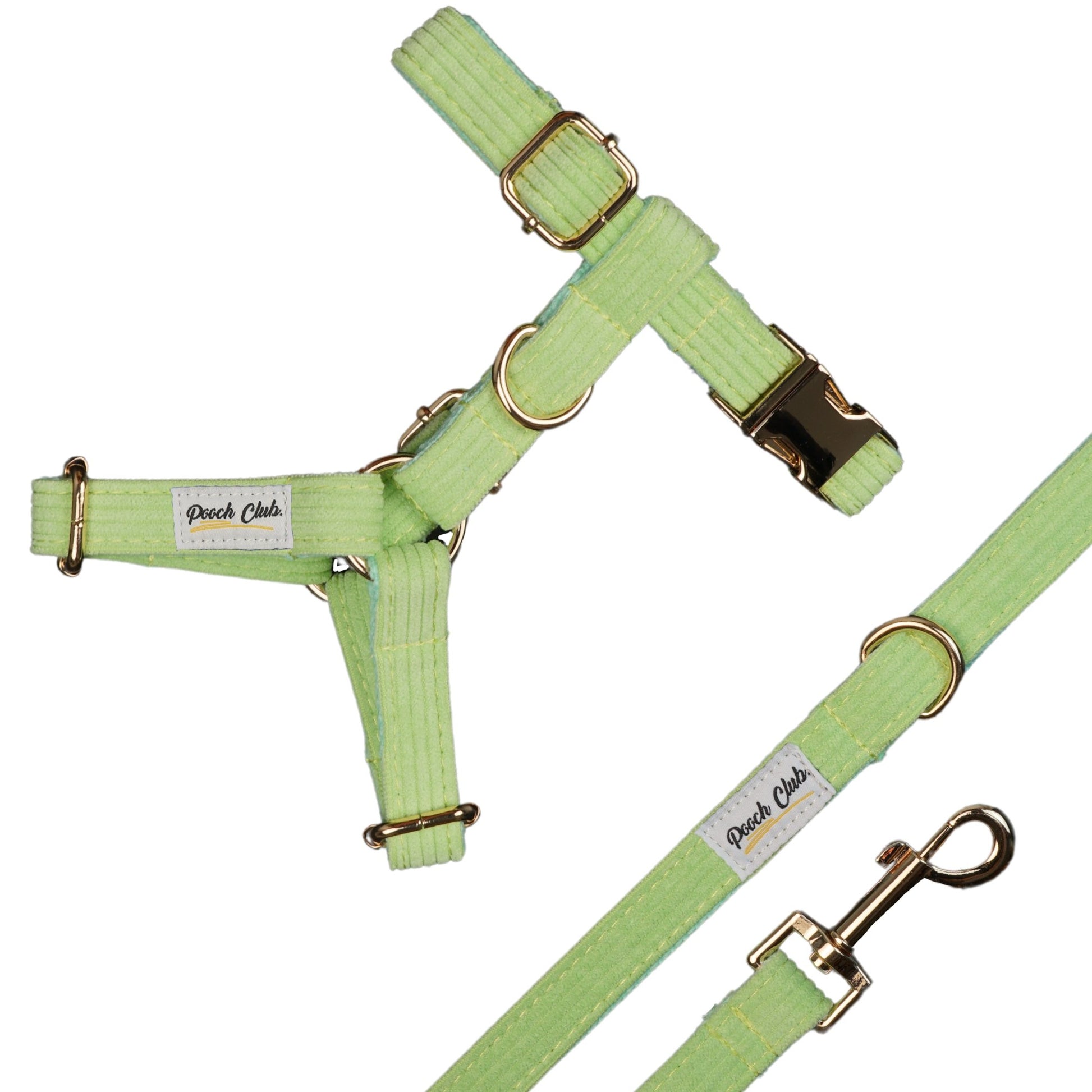 Le Côtelé Pomme verte 🍏 Petit toutou 💛 XS#- Pooch Club