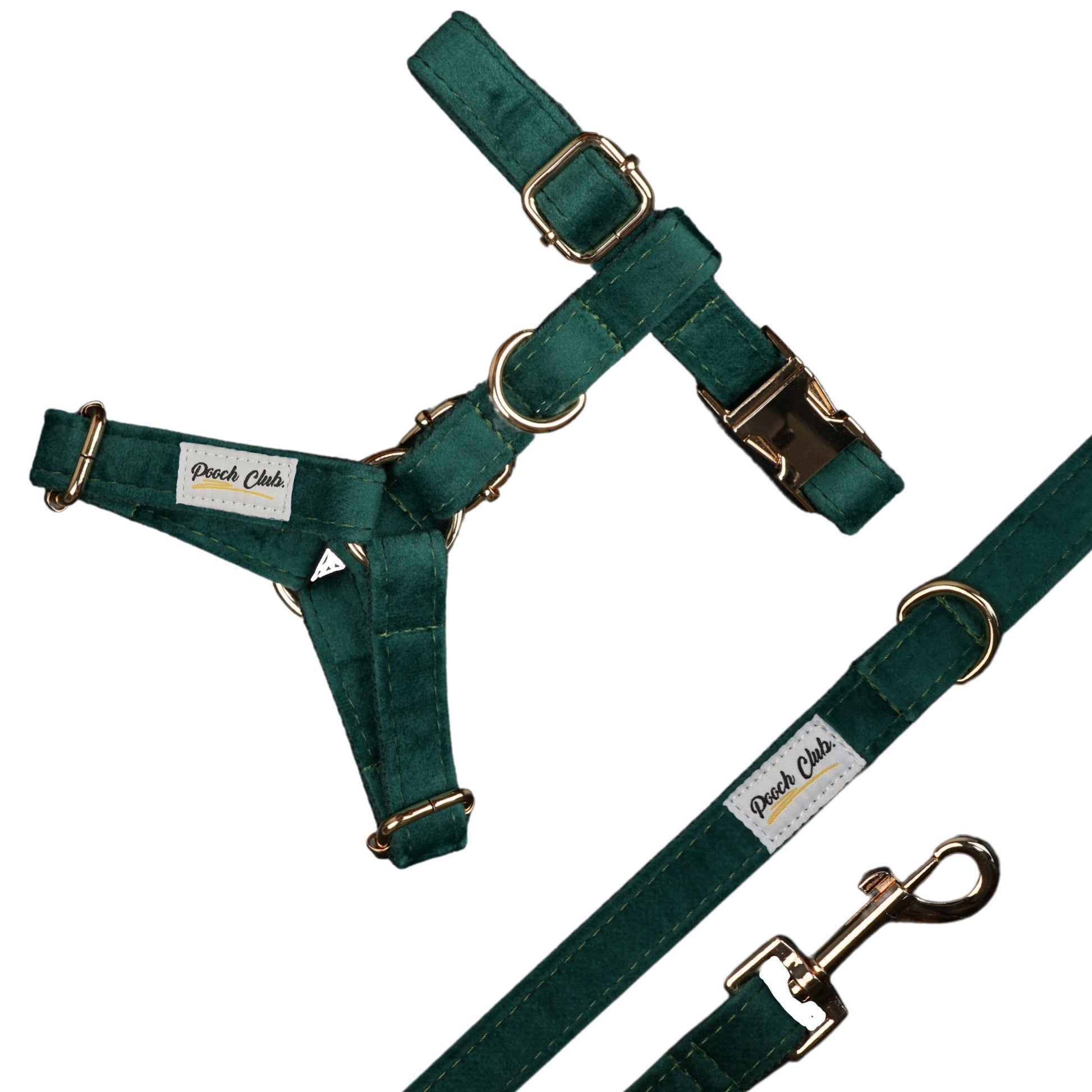 Le Velours Anglais 🌲 Petit toutou 💛 XS#- Pooch Club